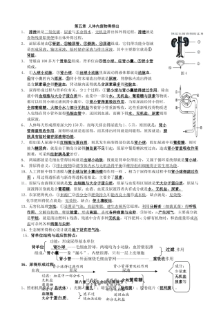 人教版下册七年级生物知识点全套