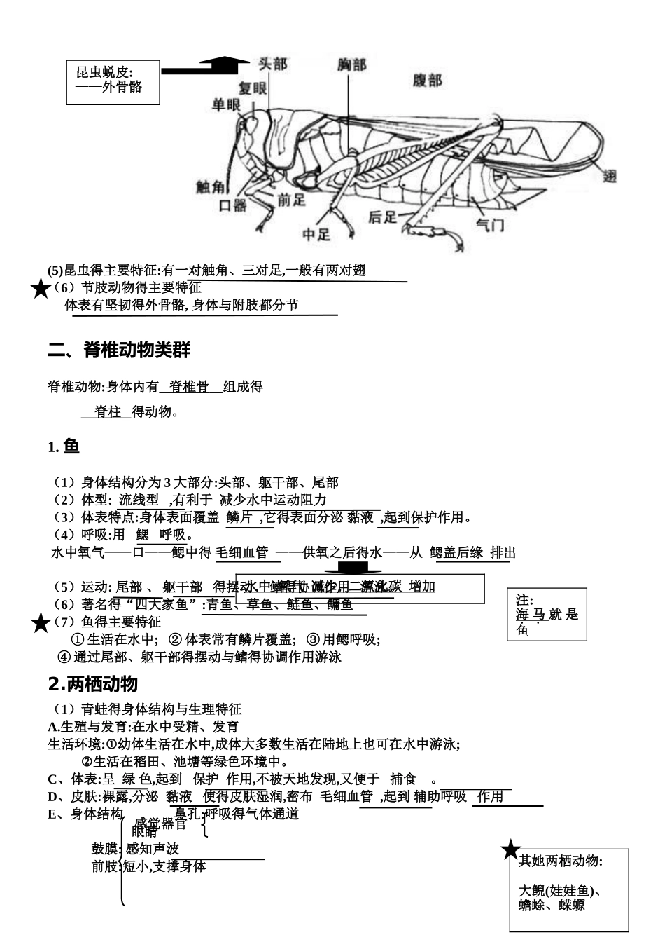 人教版八年级生物上第一章知识点汇总_第3页
