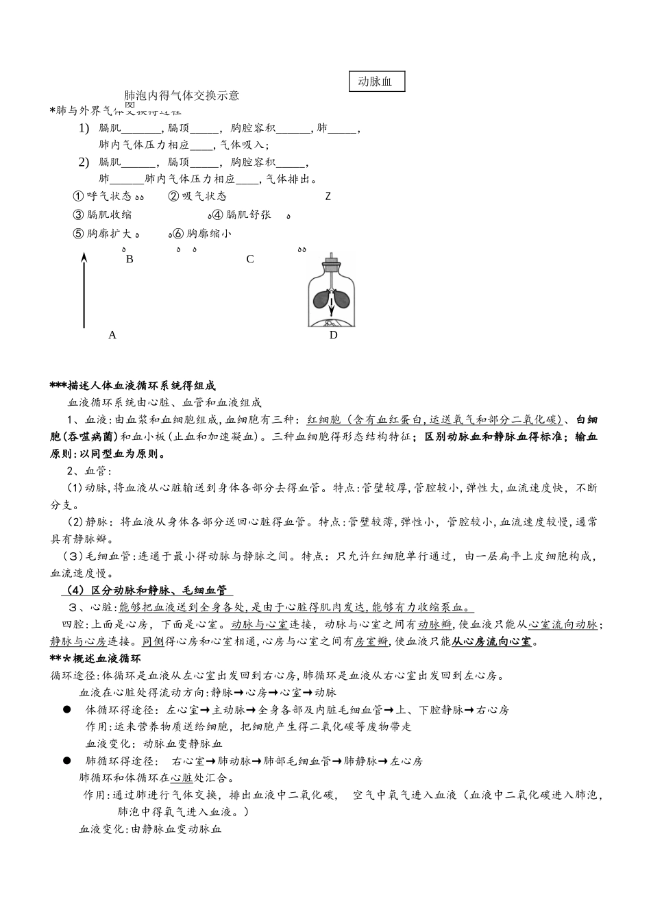 人教版生物七年级下册复习提纲_第3页