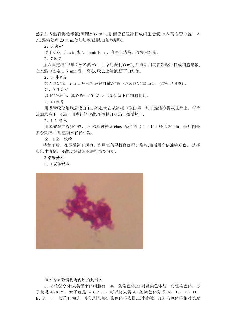 人的外周血淋巴细胞培养_第3页