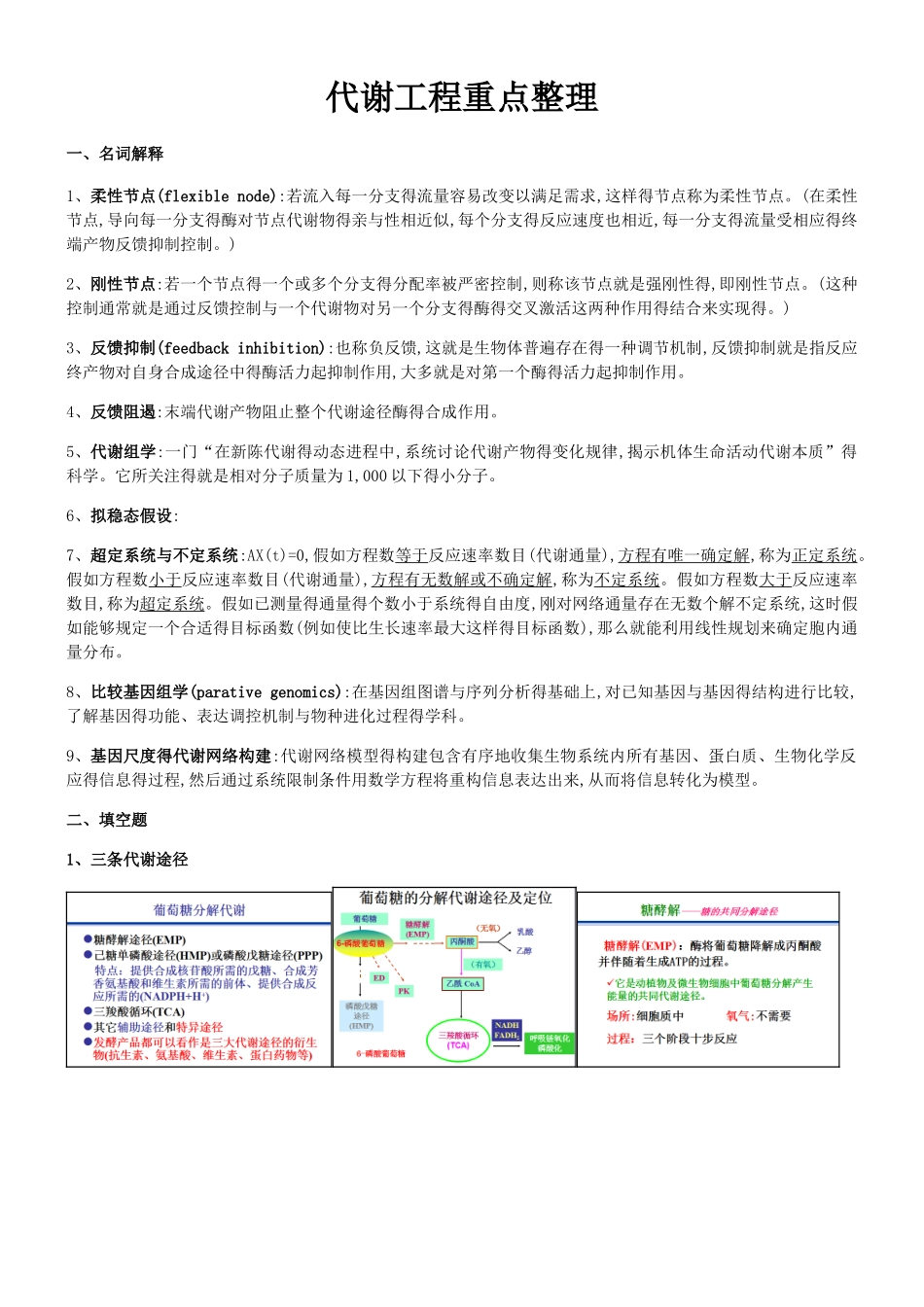 代谢工程重点整理_第1页