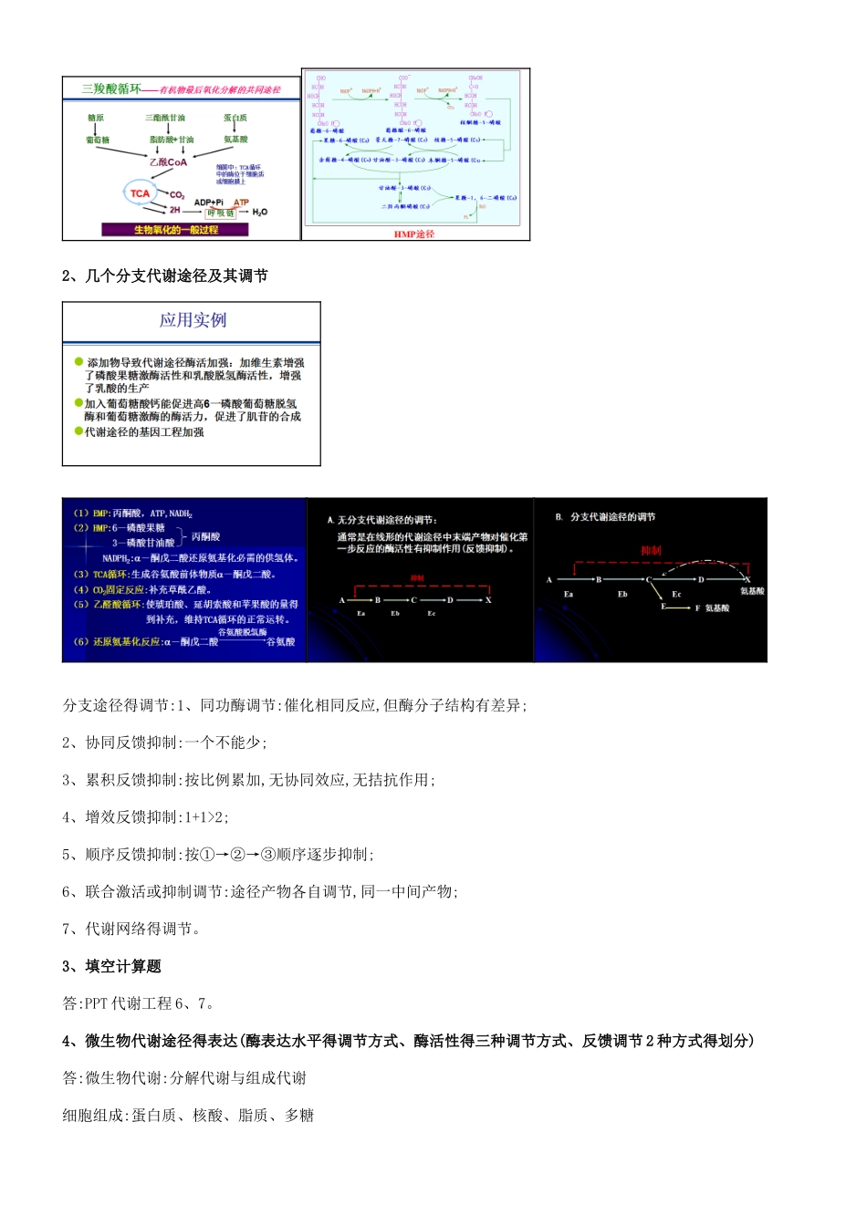 代谢工程重点整理_第2页