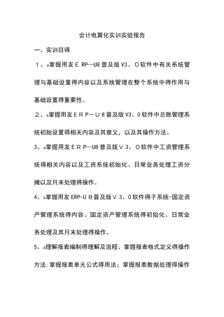会计电算化实训报告