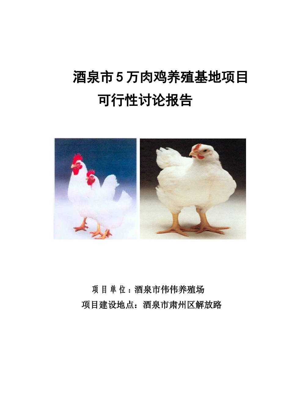 伟伟养殖场5万只肉鸡养殖基地项目可行性研究报告_第2页