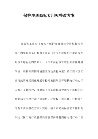 保护注册商标专用权整治方案