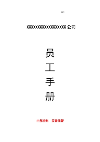 信息化建设公司员工手册