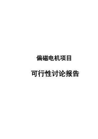 偏磁电机项目可行性研究报告