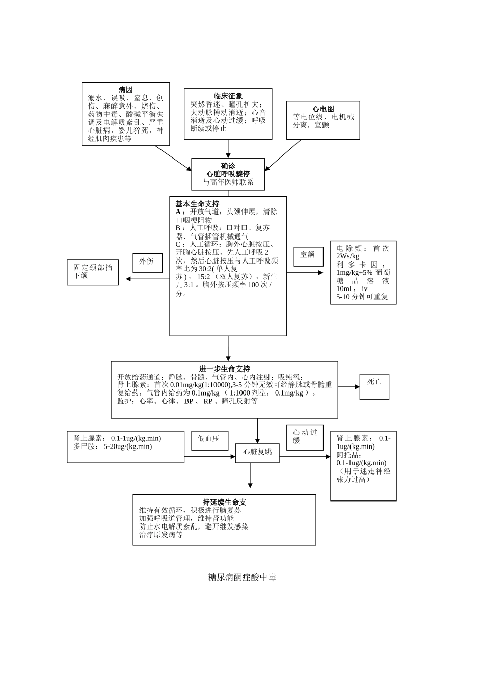 儿科抢救流程_第3页