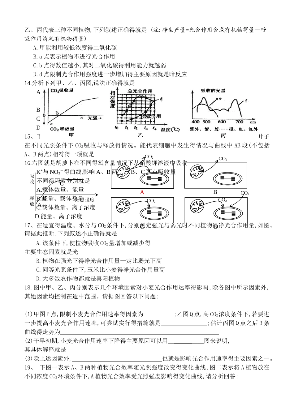 光合作用图像专题_第3页