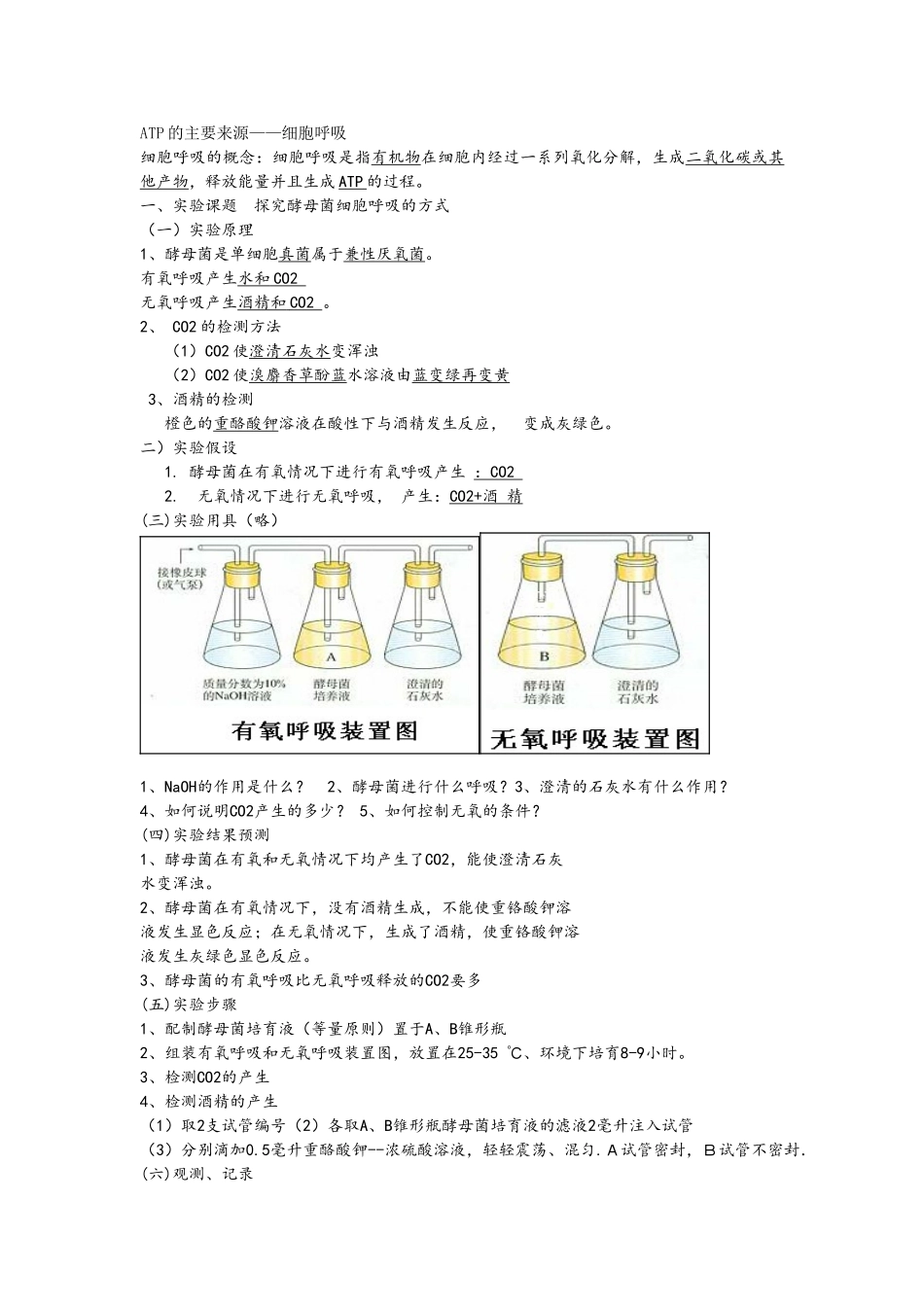 光合作用和呼吸作用知识点总结_第1页