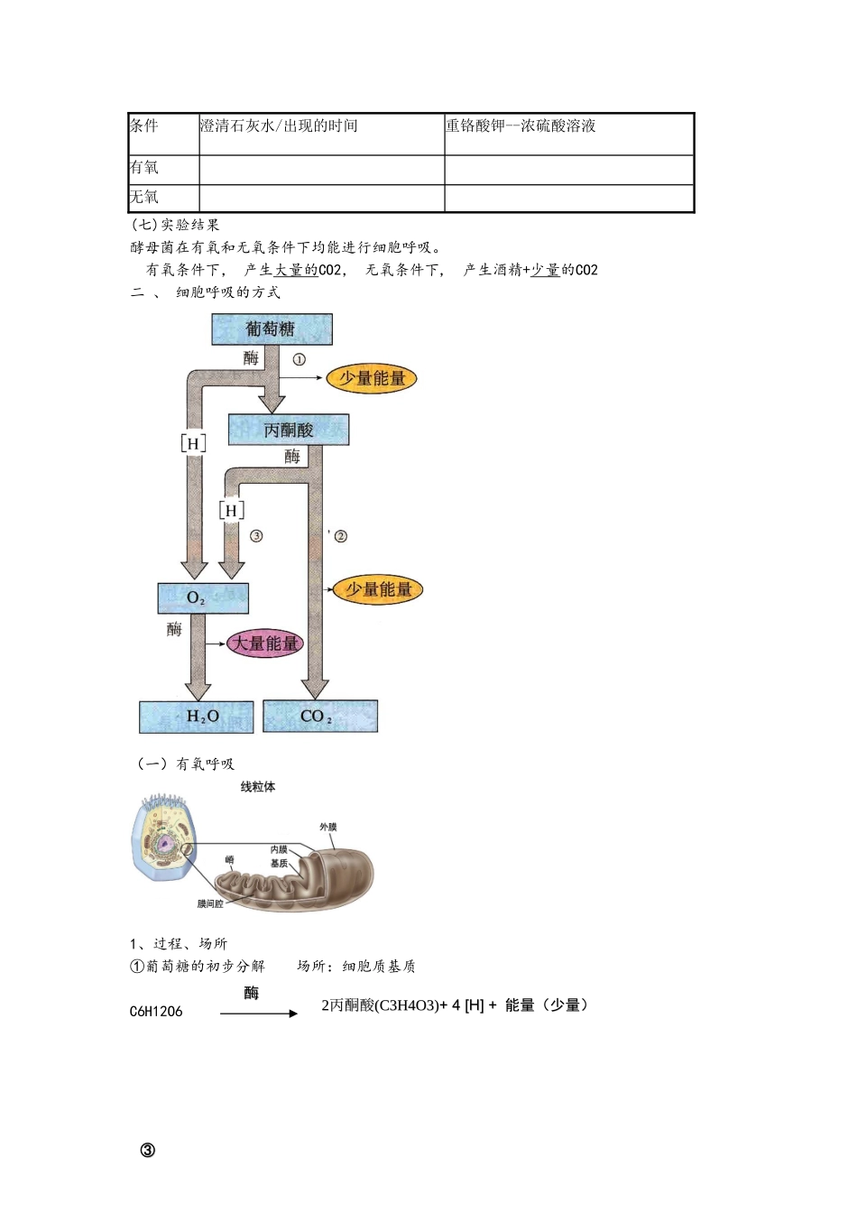 光合作用和呼吸作用知识点总结_第2页