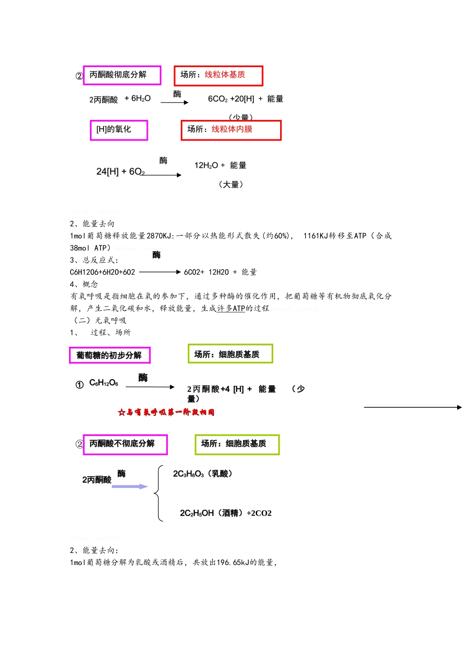 光合作用和呼吸作用知识点总结_第3页