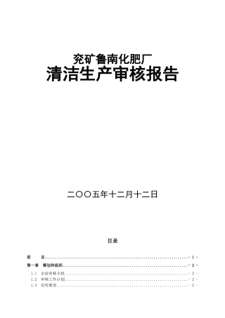 兖矿鲁南化肥厂清洁审核报告