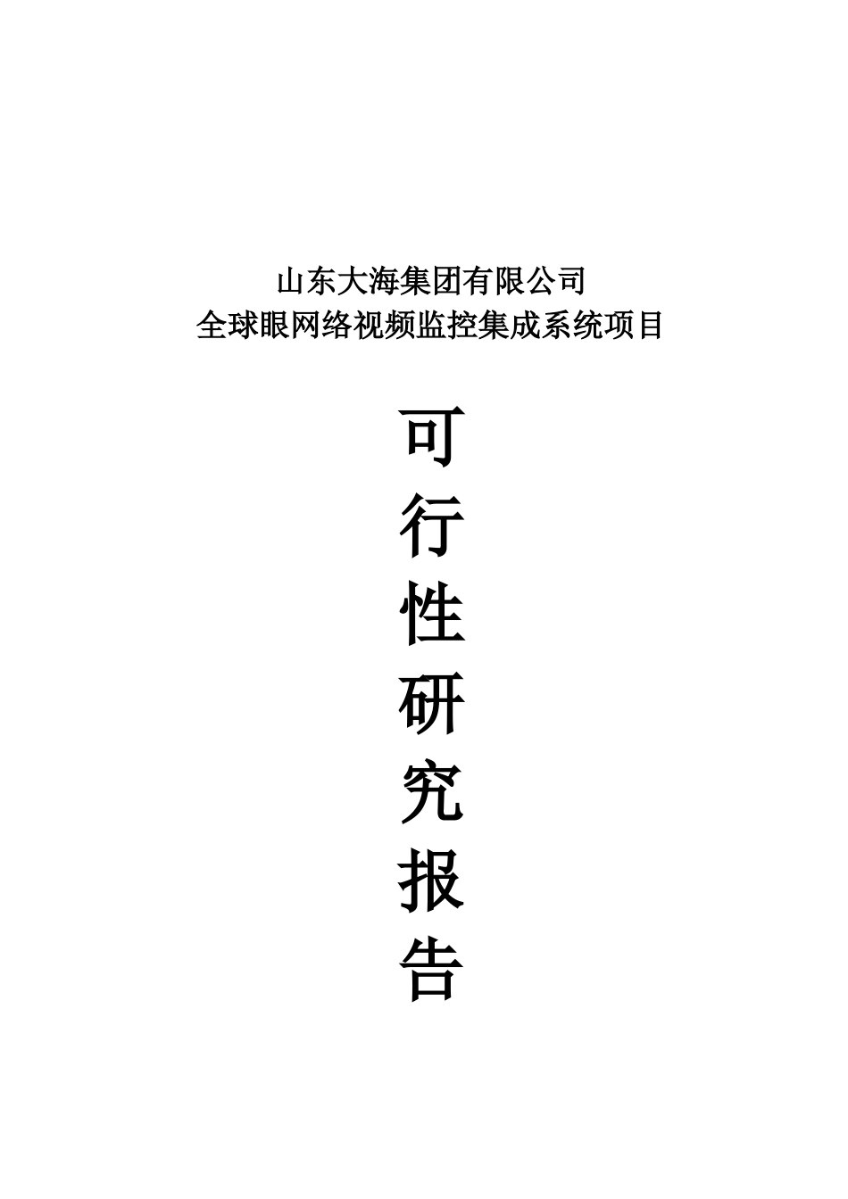 全球眼网络视频监控集成系统项目可行性研究报告_第2页
