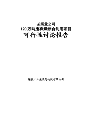 公司120万吨废弃煤综合利用项目申请报告