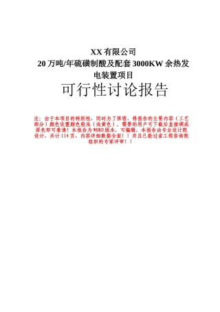 公司20万吨年硫磺制酸及配套3000kw余热发电装置工程申请报告