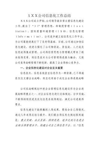 公司信息化工作总结