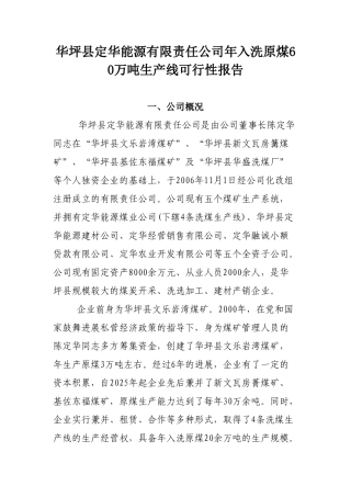公司年洗原煤60万吨生产线建设申请报告