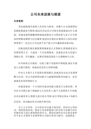 公司未来发展与展望