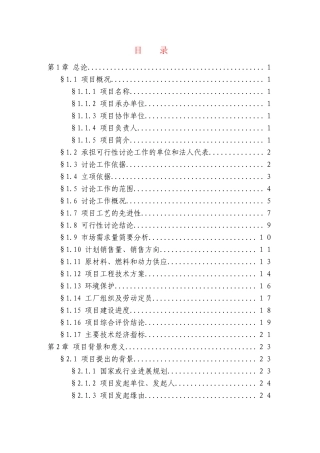 公司硼铁矿综合开发利用示范项目申请报告