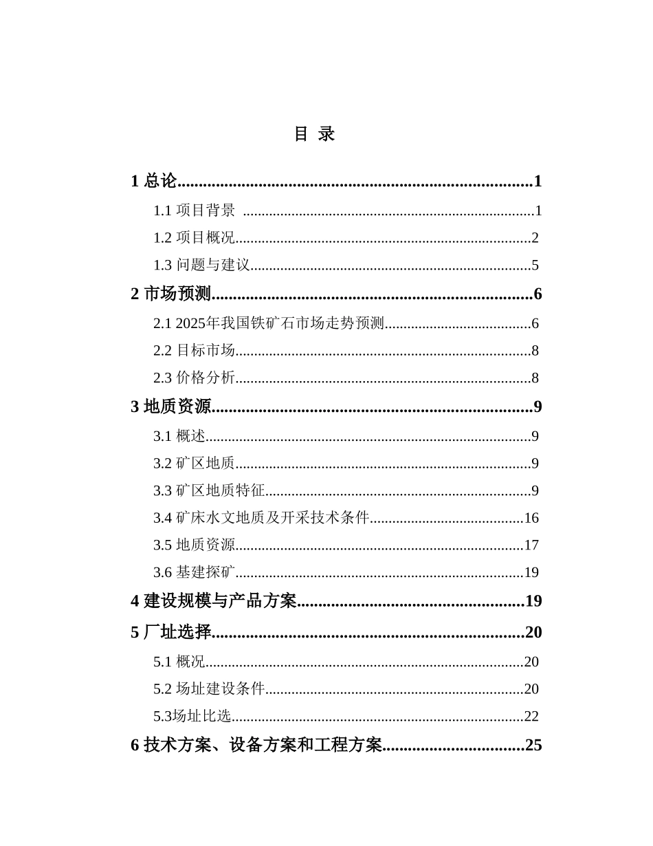公司铁矿开采项目可行性研究报告_第2页