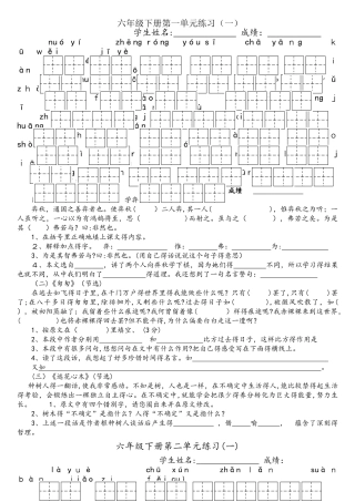 六年级下册语文试题看拼音写词语及练习 人教新课标