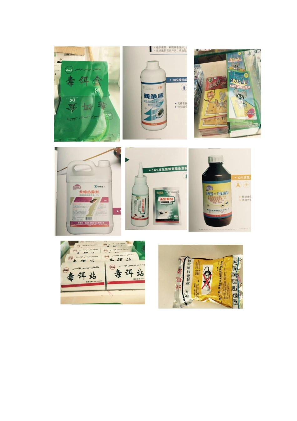 关于酒店除四害方案_第3页