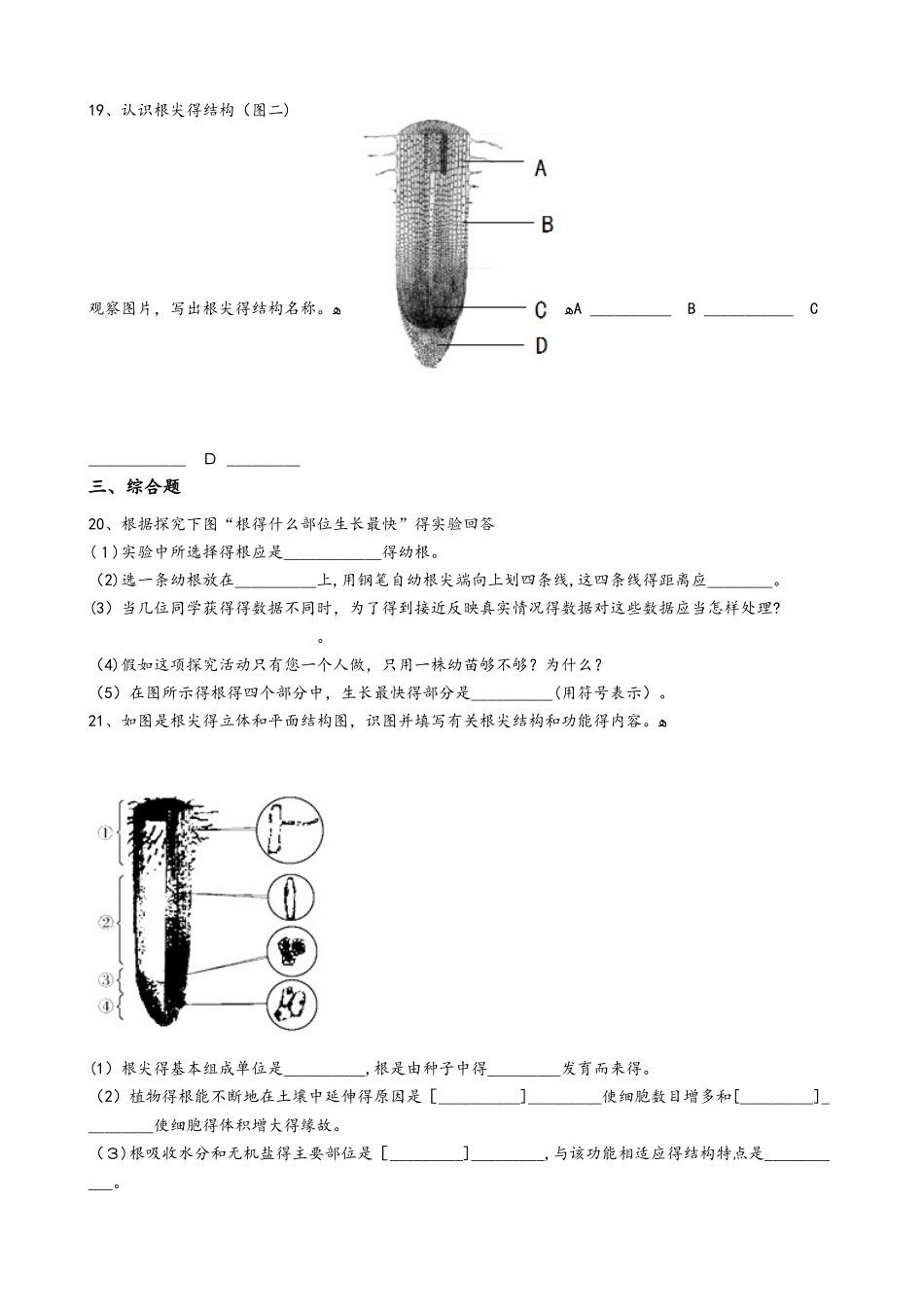 冀少版八年级上册生物 3.2根的吸收 单元测试（含解析）_第3页