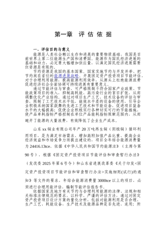 再生铜循环利用项目节能评估报告