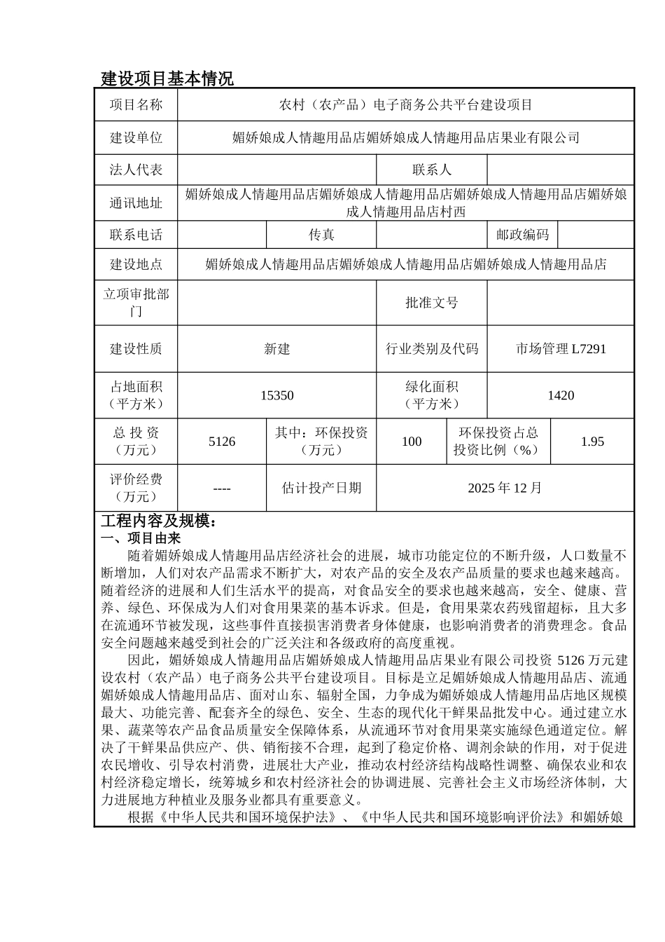 农村电子商务公共平台建设项目环评报告表_第2页