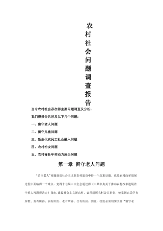 农村社会调查报告