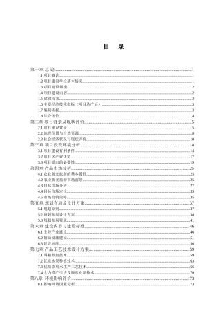 冠县夕阳医养老年公寓项目可行性研究报告