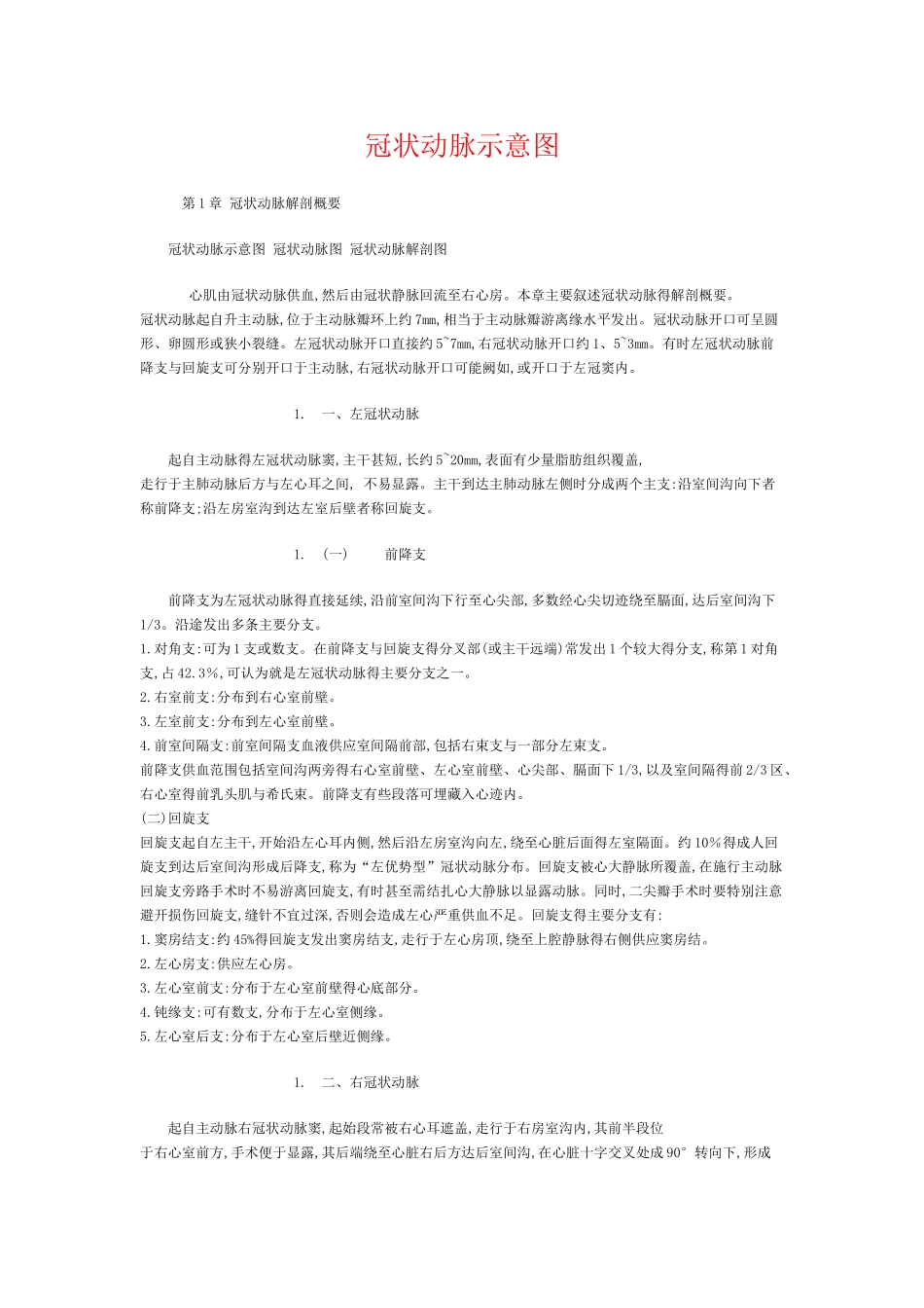 冠状动脉示意图_第1页