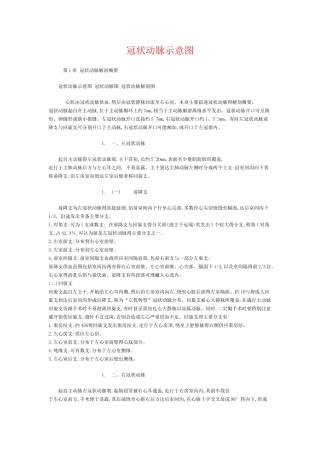 冠状动脉示意图