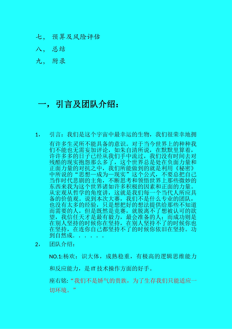 冰潮it创业计划书大学毕设论文_第2页