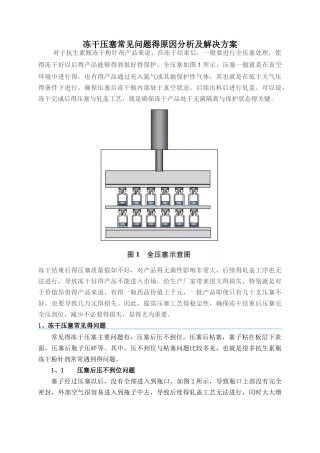 冻干压塞常见问题的原因分析及解决方案