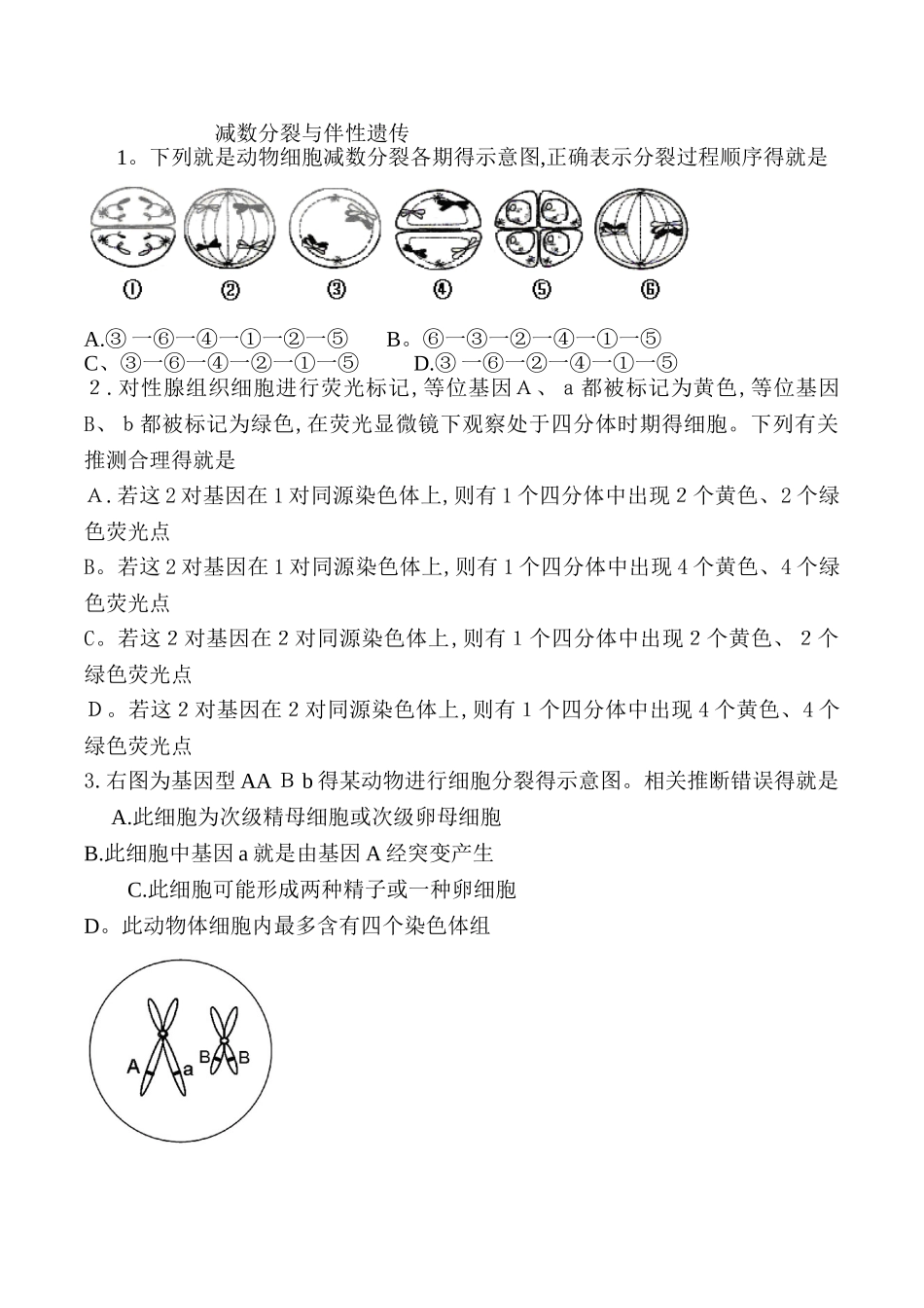减数分裂和伴性遗传习题集_第1页