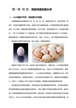 凤凰山鸡蛋营销计划书