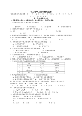初三化学上册期末试题及答案