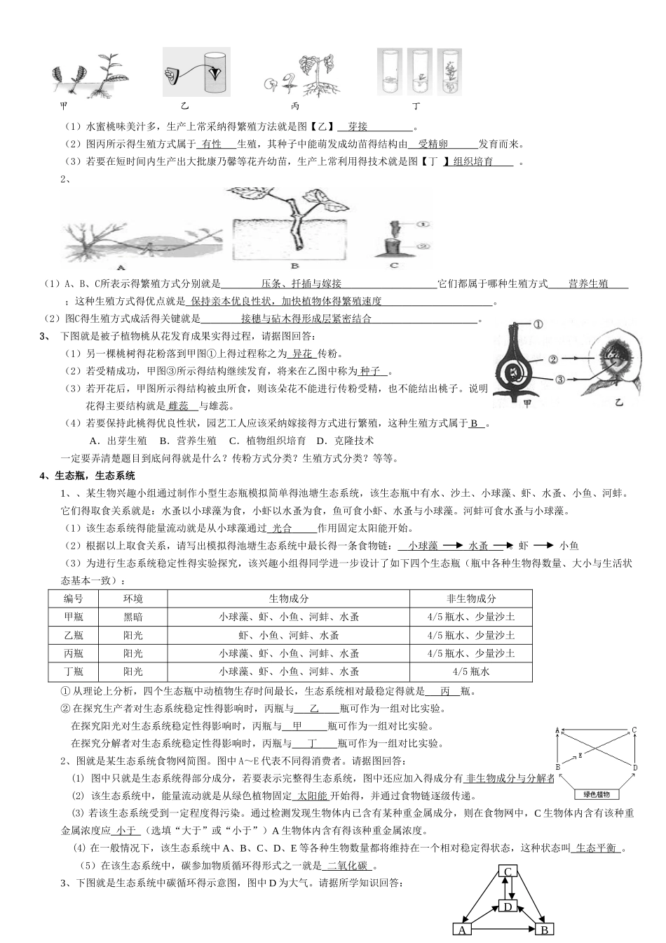 初中生物易错题_第2页