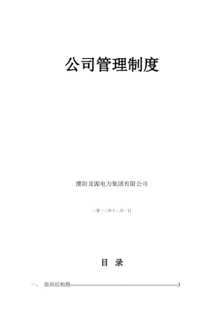 力电集团有限公司管理制度大学论文