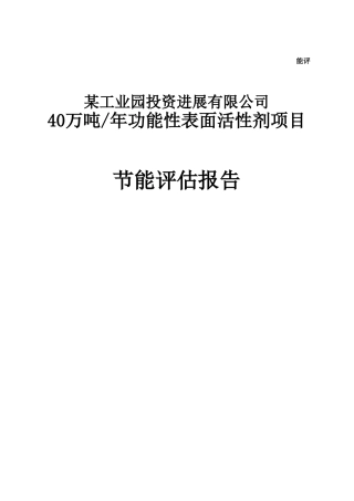 功能性表面活性剂项目节能评估报告