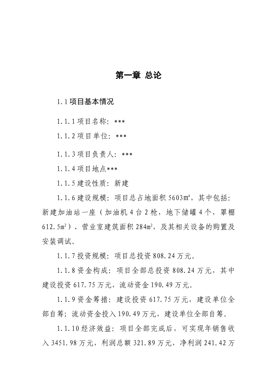 加油站可研报告_第2页