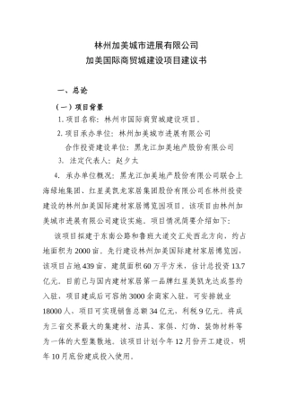 加美国际商贸城建设项目建议书