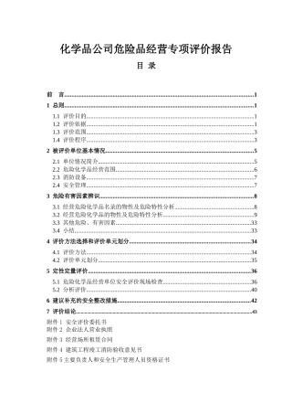 化学品公司危险品经营专项评价报告