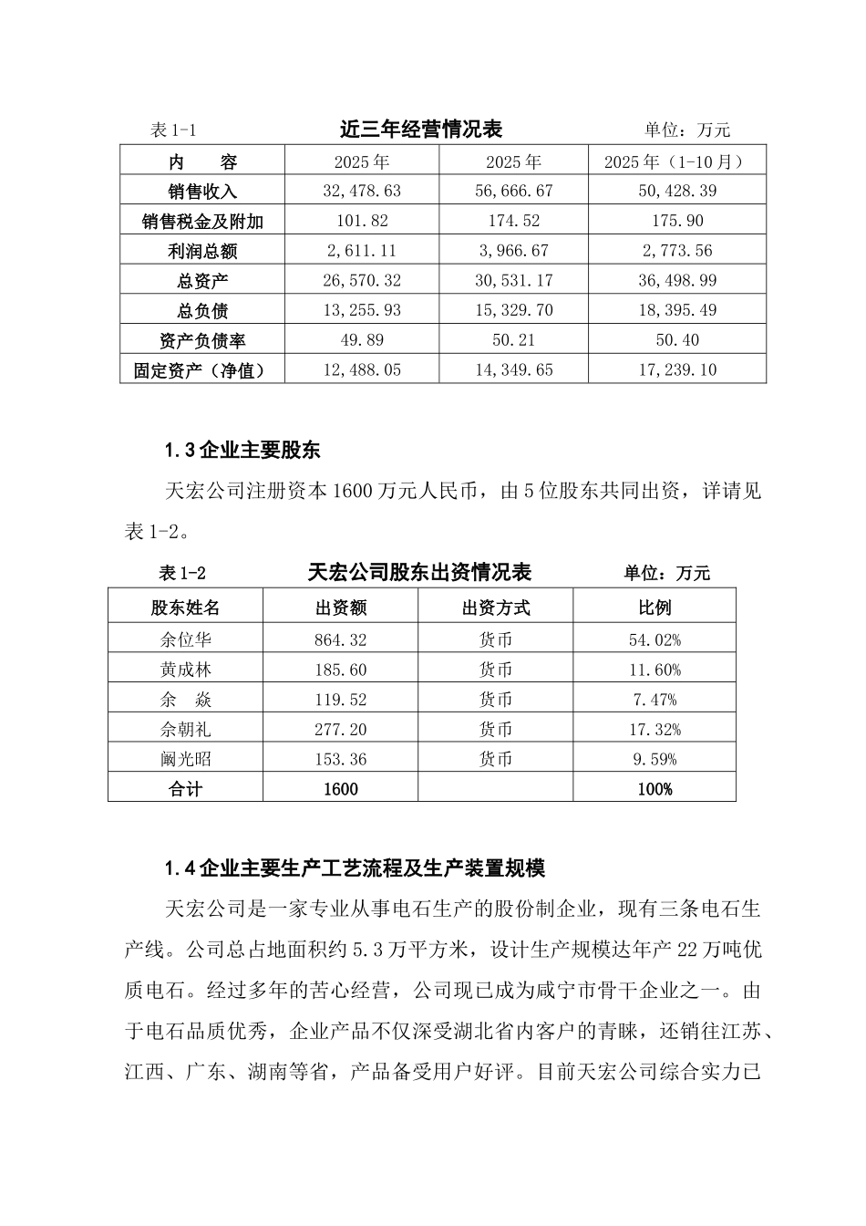 化工公司能源管理中心项目资金申请报告_第2页