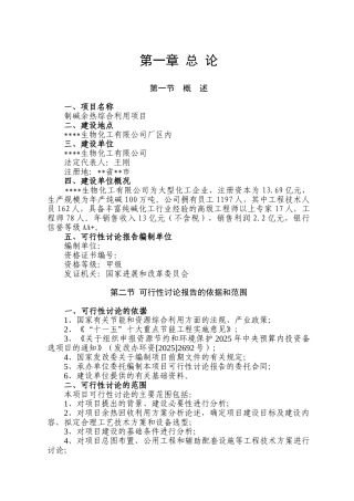 化工厂制碱余热综合利用建设项目可行性研究报告