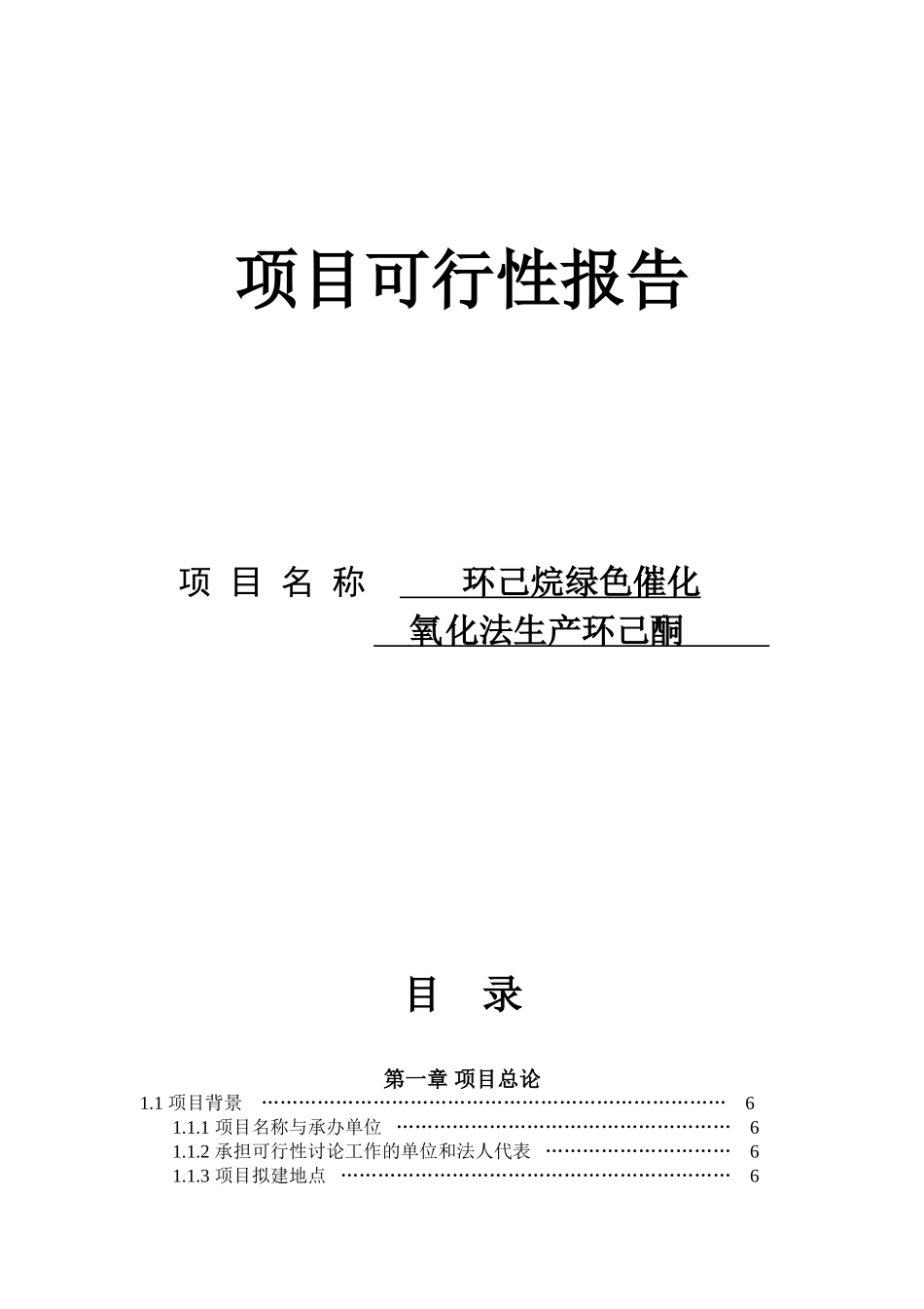 化氧化法生产环己酮项目可行性报告_第2页