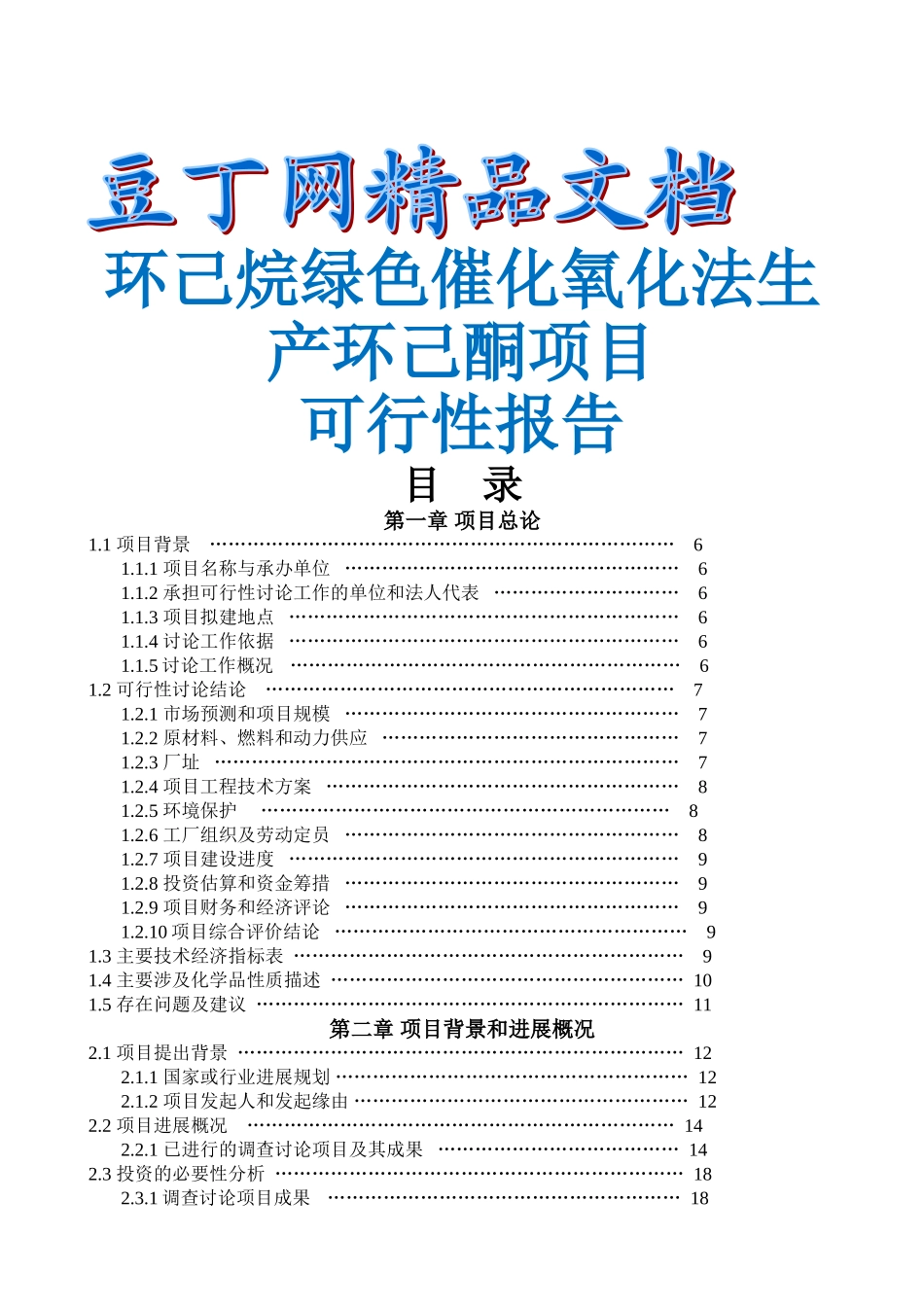 化氧化法生产环己酮-项目可行性研究报告_第2页