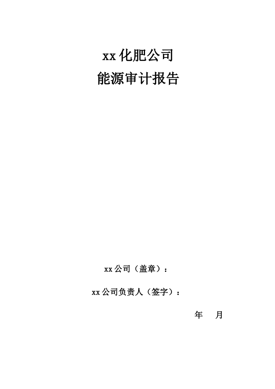 化肥能源审计报告自动生成模板_第3页